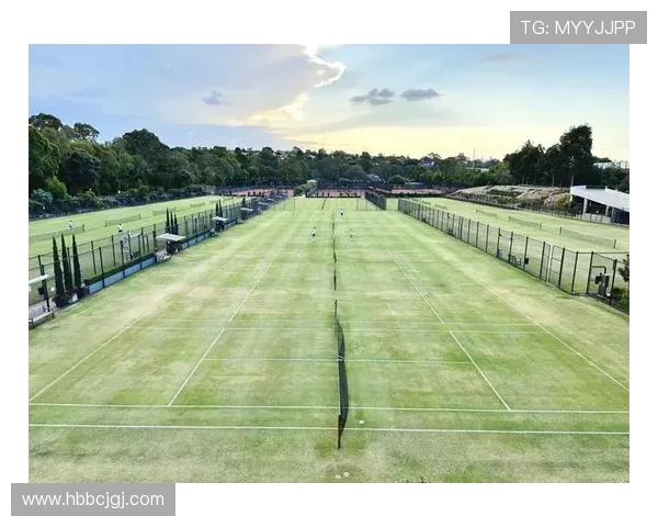 红土网球与硬地网球的区别解析及其对比赛策略的影响