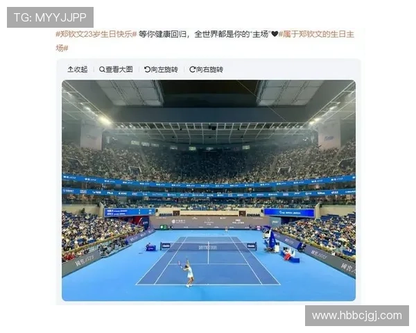 网球大满贯赛事最新动态：新星崛起与老将争锋，赛季精彩纷呈